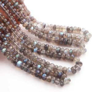 1  Strand Labradorite Smooth Rondelles-  -8mm-11mm - 10.5 Inches BR0501