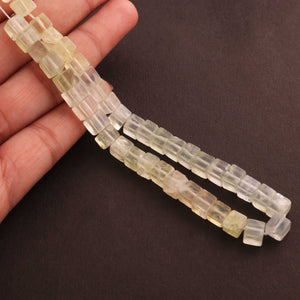 1 Strand Prehnite Faceted Cube Briolettes- Prenite Briolettes 8mm - 12 inches BR1369