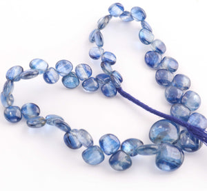 1 Strand Blue kyanite  Smooth Briolettes -Heart Shape Briolettes - 6mm-13mm - 10 Inches BR1586