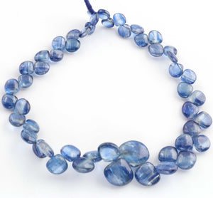 1 Strand Blue kyanite  Smooth Briolettes -Heart Shape Briolettes - 6mm-13mm - 10 Inches BR1586