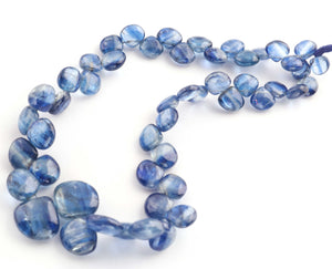 1 Strand Blue kyanite  Smooth Briolettes -Heart Shape Briolettes - 6mm-13mm - 10 Inches BR1586