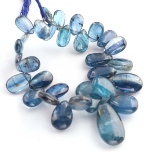 1 Strand Natural Royal Blue Moss Kyanite  Smooth Briolettes -Pear Shape Briolettes - 5mmx10mm-19mmx10mm - 5 Inches BR1593