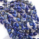 1 Strand Natural Sodalite Faceted Tear Drop Briolettes - Semi Precious Gemstone Water Drop- Beautiful Jewelry Making Briolettes Beads - 10mmx7mm-12mmx8mm - 7 Inches - BR3511