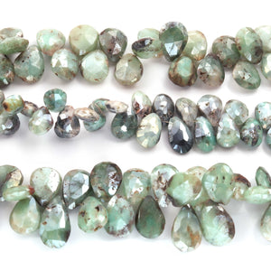 1 Strand Finest Quality Shaded Emerald  silver coated  Pear Briolettes - 7.5 inch 9mmx7mm-18mmx11mm BR1822