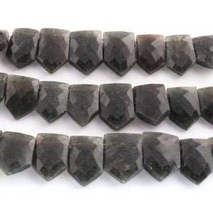 1 Strand Green Agate Beads -pentagon Shape Beads 15mmX11mm-21mmx15mm , 9 Inch BR03674