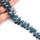 1 Strand Moss Kyanite Smooth Briolettes -Pear Shape Briolettes - 8mmx6mm-14mmx9mm - 9 Inches BR1588