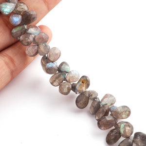 1 Strand Labradorite Faceted Briolettes - Semi Precious Gemstone Pear Shape  Briolettes -6mmx8mm -13mmx8mm- 9 Inches- BR02092