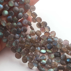 1  Strand Labradorite Faceted Briolettes  -Semi Precious Gemstone Coin Shape Briolettes  7mm -10 Inches BR03275 - Tucson Beads