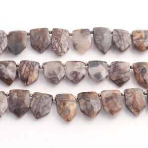 1 Strand Astrophyllite Faceted Briolettes - Pentagon Shape Briolettes -15mmx10mm- 20mmx13mm - 10 Inches br03550 - Tucson Beads