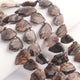 1 Strand Astrophyllite Faceted Briolettes - Pentagon Shape Briolettes -15mmx10mm- 20mmx13mm - 10 Inches br03550 - Tucson Beads