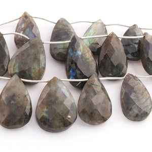 1  Strand  Labradorite Faceted Pear Briolettes - Labradorite Pear Briolettes Beads-  20mmx12mm -29mmx17mm-8 inches BR01608