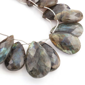 1  Strand Labradorite Faceted Pear Shape Briolettes  - Semi precious Gemstone beads - 22mmx13mm-40mmx26mm -9 Inches BR01274