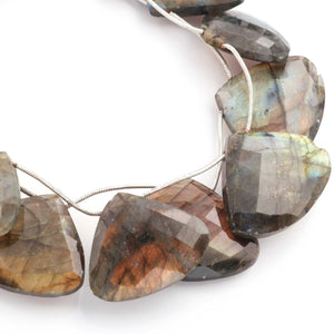 1 Long  Strand Labradorite  Faceted Briolettes -Heart Shape Briolettes - 20mmx26mm-27mmx36mm - 9 inch BR0506