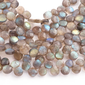 1 Strand  Labradorite Faceted Coin Shape Briolettes - Side Drill Beads - Labradorite Briolettes  7mm-8mm 9.5 Inches BR0258