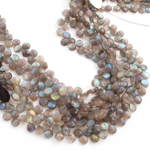 1 Strand  Labradorite Faceted Coin Shape Briolettes - Side Drill Beads - Labradorite Briolettes  7mm-8mm 9.5 Inches BR0258