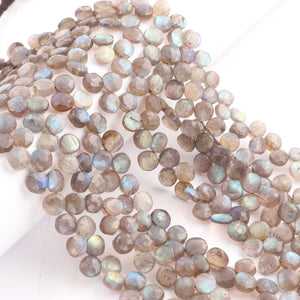 1 Strand  Labradorite Faceted Coin Shape Briolettes - Side Drill Beads - Labradorite Briolettes  7mm-8mm 9.5 Inches BR0258