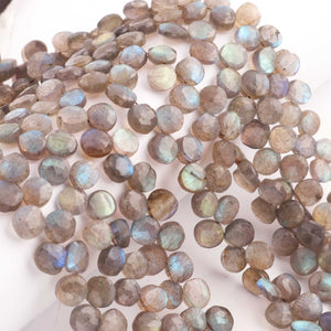 1 Strand  Labradorite Faceted Coin Shape Briolettes - Side Drill Beads - Labradorite Briolettes  7mm-8mm 9.5 Inches BR0258