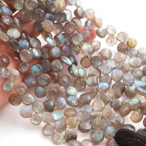 1 Strand  Labradorite Faceted Coin Shape Briolettes - Side Drill Beads - Labradorite Briolettes  7mm-8mm 9.5 Inches BR0258