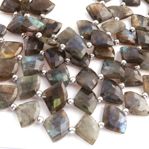 1 Strand Labradorite Faceted Fancy Shape Briolettes  -Semi Precious Gemstone Fancy Shape Briolettes Beads 12mmx10mm-18mmx13mm -8 Inches BR03697