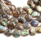 1 Strand Labradorite Faceted Coin Shape Briolettes  -Semi Precious Gemstone Coin Shape Briolettes Beads 10mmx10mm-15mmx15mm -7.5 Inches BR03702