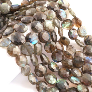 1 Strand Labradorite Faceted Coin Shape Briolettes  -Semi Precious Gemstone Coin Shape Briolettes Beads 10mmx10mm-15mmx15mm -7.5 Inches BR03702