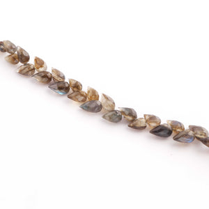 1 Strand Natural Labradorite Faceted Tear Drop Briolettes - Semi Precious Gemstone Water Drop- Beautiful Jewelry Making Briolettes Beads - 7mmx4mm-10mmx6mm -7.5 Inches - BR3538