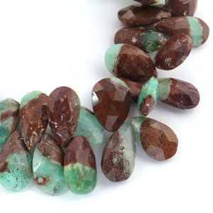 1 Strand Bio Chrysoprase  Faceted  Briolettes - Pear  Shape Briolettes 8 inch 21mmx11mm-16mmx12mm BR3201 - Tucson Beads