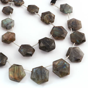 1   Strand  Labradorite Faceted Briolettes - Hexagon Shape Briolettes - 13mmx12mm -19mmx18mm- 9 Inches br03623 - Tucson Beads