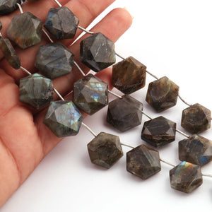 1   Strand  Labradorite Faceted Briolettes - Hexagon Shape Briolettes - 13mmx12mm -19mmx18mm- 9 Inches br03623 - Tucson Beads