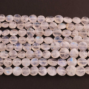 1  Strand White Rainbow Moonstone Faceted Briolettes -Coin Shape Briolettes  -10mm -8 Inches BR03625 - Tucson Beads