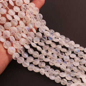 1  Strand White Rainbow Moonstone Faceted Briolettes -Coin Shape Briolettes  -10mm -8 Inches BR03625 - Tucson Beads