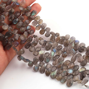 1  Strand Labradorite Faceted Briolettes - Pear Shape  Briolettes - 12mmx6mm- -9 Inches- BR1431 - Tucson Beads