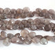 1 Strand  Grey Moonstone Faceted Briolettes - Heart Shape 10mm Briolettes  -8 inches BR0175 - Tucson Beads