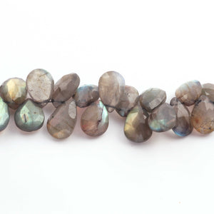 1  Labradorite  Faceted Briolettes -Pear Shape Briolettes  13mmx9mm-18mmx12mm 8.5 Inches BR4004