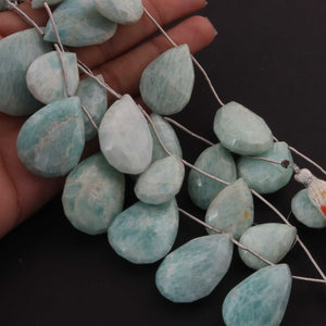 1  Strand  Amazonite Faceted Briolettes - Pear Shape Briolettes -21mmx14mm-25mmx10mm - 7.5 Inches03345 - Tucson Beads