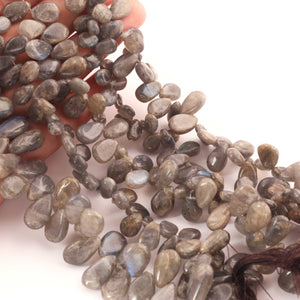 1 Strand Labradorite Smooth Pear Briolettes - Labradorite Pear Shape Beads 9mmX6mm-20mmx9mm 9 Inches BR071