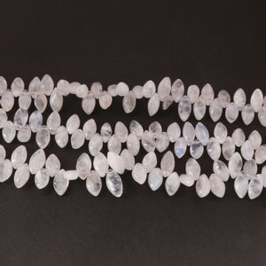 1  Strand White Rainbow Moonstone  Smooth Briolettes  - Marquise Shape  Briolettes  10mmx6mm-13mmx7mm 8 Inches BR0165