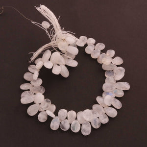 1 Strand White Rainbow Moonstone Faceted Pear Shape Briolettes - 9mmx8mm-15mmx7mm 10 Inch BR127