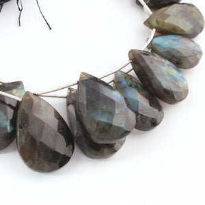 1 Strand Labradorite Faceted Briolettes - Pear Shape  Briolettes - 19mmx14mm- 29mmx19mm-8.5 Inches- BR1431