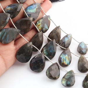 1 Strand Labradorite Faceted Briolettes - Pear Shape  Briolettes - 19mmx14mm- 29mmx19mm-8.5 Inches- BR1431