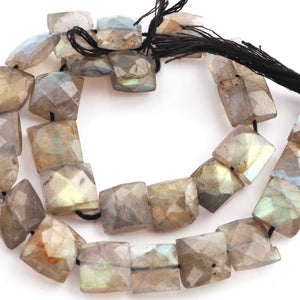 1 Strands labradorite Faceted Chicklet Briolettes - Chicklet Briolettes 9mm-10 mm 9 Inch BR280