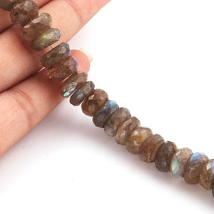 1 Strand Labradorite Faceted Rondelle -  Blue Fire Beads 11mm 7 Inches BR493