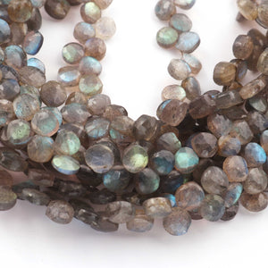 1 Strand Labradorite Faceted Coin Briolettes - 6mm-7mm 10 Inches BR675