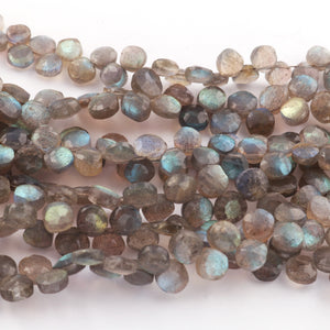 1 Strand Labradorite Faceted Coin Briolettes - 6mm-7mm 10 Inches BR675