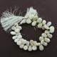 1 Strand Amazonite Smooth  Briolettes - Pear Drop Beads  11mmx8mm -16mmx11mm 8.5 Inches BR625