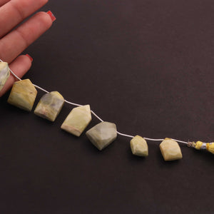 1 Strand  Yellow Opal Briolettes - Pentagon Shape Faceted Beads -14mmx9mm-22mmx14mm 7 inch BR2658 - Tucson Beads