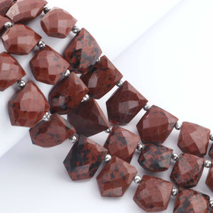 1   Strand  Brown Jesper Faceted Briolettes - Pentagon Shape Briolettes -10mmx14mm- 18mmx15mm - 9 Inches br03393 - Tucson Beads