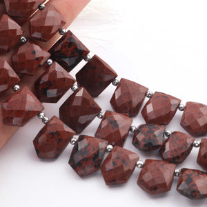 1   Strand  Brown Jesper Faceted Briolettes - Pentagon Shape Briolettes -10mmx14mm- 18mmx15mm - 9 Inches br03393 - Tucson Beads