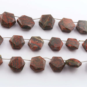 1   Strand  Unakite Faceted Briolettes - Hexagon Shape Briolettes - 13mm23mm - 9 Inches br03396 - Tucson Beads