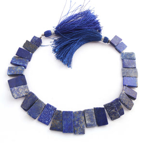 1 Strand  Sodalite Faceted Briolettes - Rectangle Shape Briolettes -10mmx6mm-19mmx9mm - 8 Inches BR1196